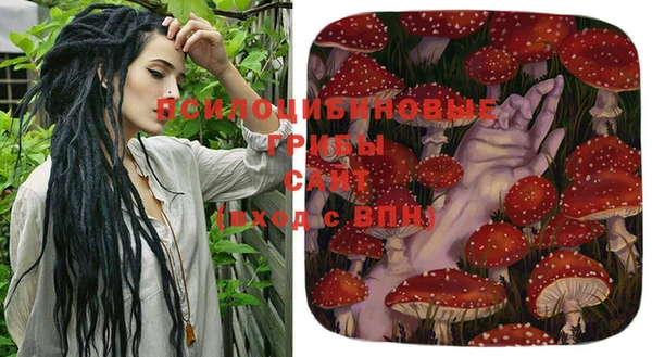 mdpv Ладушкин