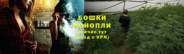 индика Горнозаводск